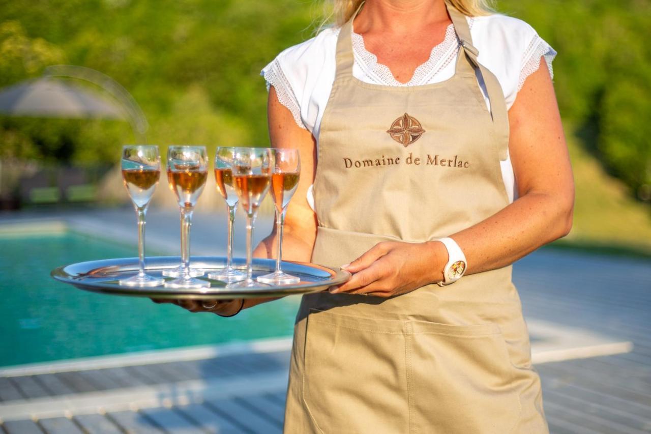 Domaine De Merlac Rieussec Exterior foto
