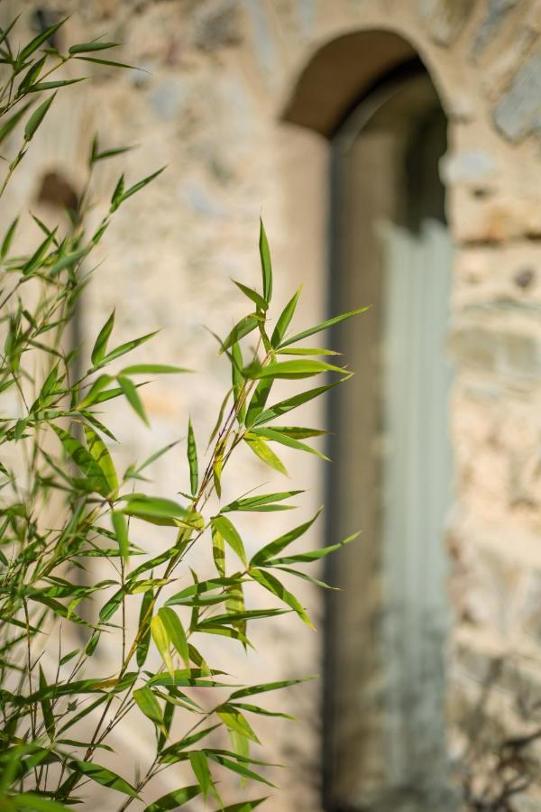 Domaine De Merlac Rieussec Exterior foto